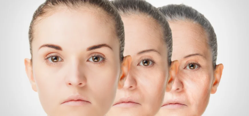 Consultation about facial lines and skin quality at a dermatology clinic